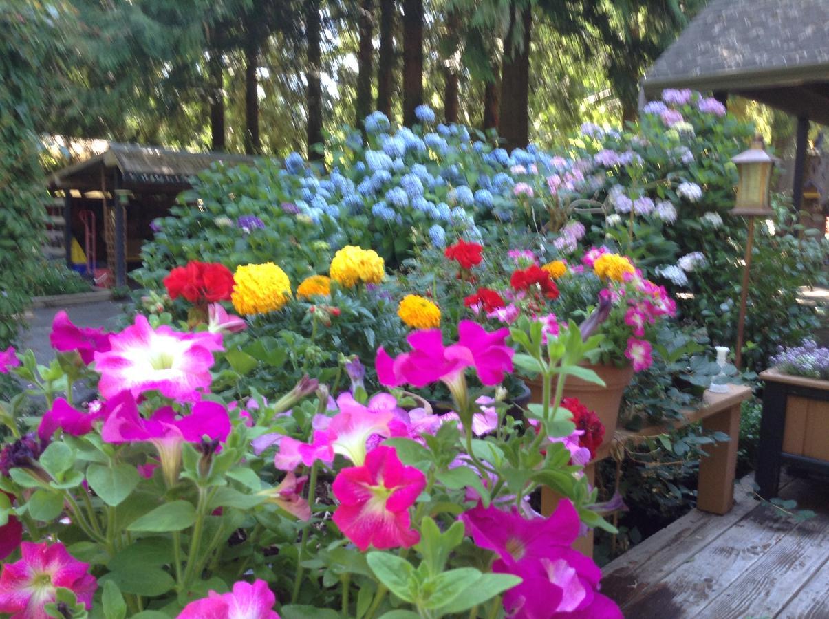 Tea Cozy Bed & Breakfast Qualicum Beach Bagian luar foto